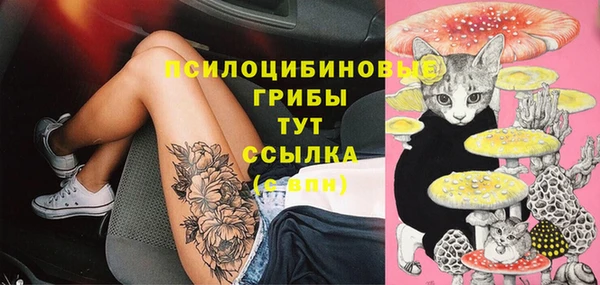 молекула духа Балахна