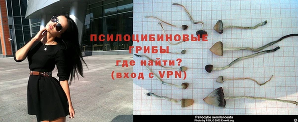 молекула духа Балахна